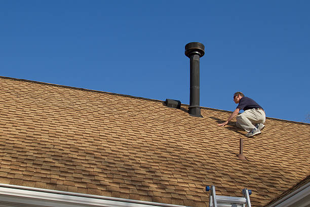 Best Roof Moss and Algae Removal  in Twin Falls, ID
